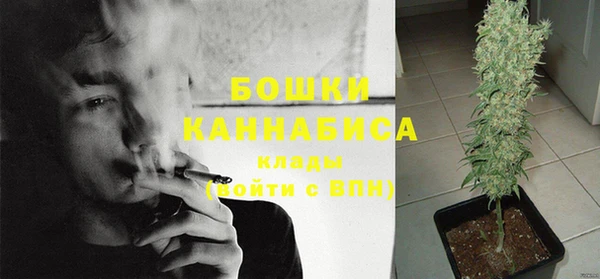 сатива Янаул