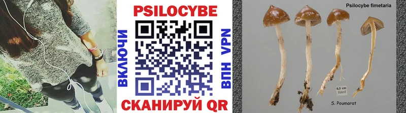 Галлюциногенные грибы прущие грибы  Купить закладки  Облучье 